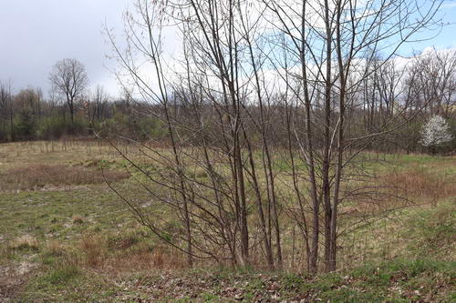 Chief Pontiac Speedway (Lake Angelus Speedway) - The Lot In April 2021